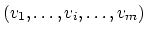 $(v_1,\ldots,v_i,\ldots,v_m)$